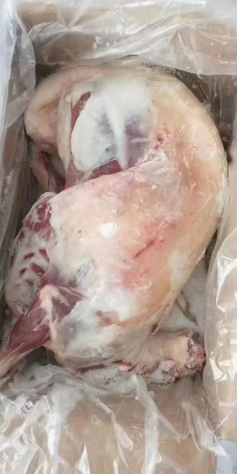 烤全羊烤羊腿