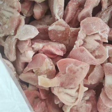 三黄鸡带肚鸡胗15吨