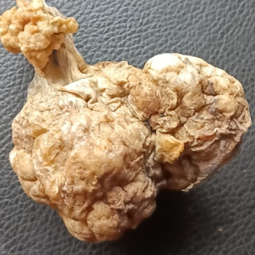 中药鸡宝