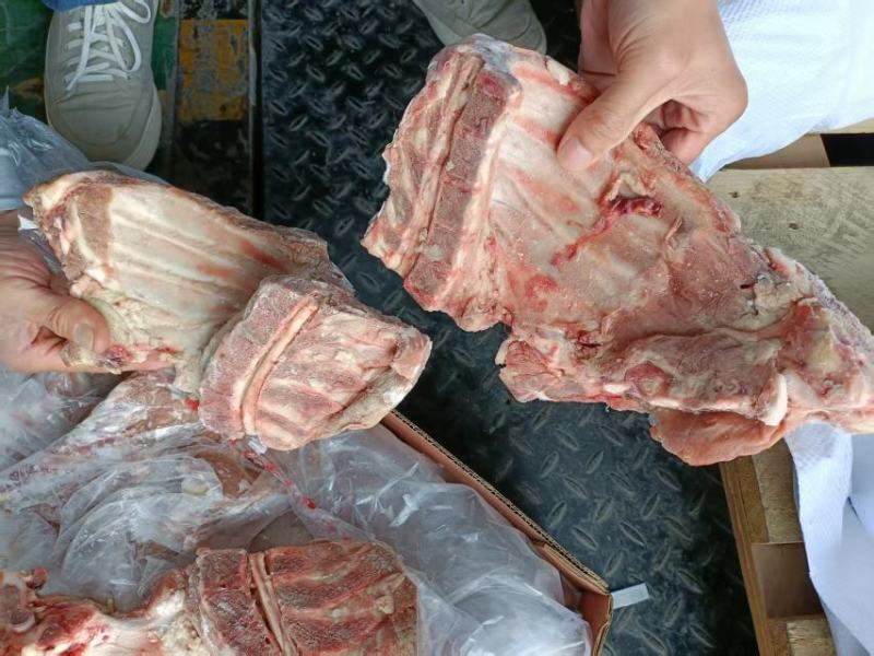 肥猪去颈前排