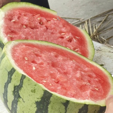 美都711大量上市