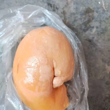 鸡宝