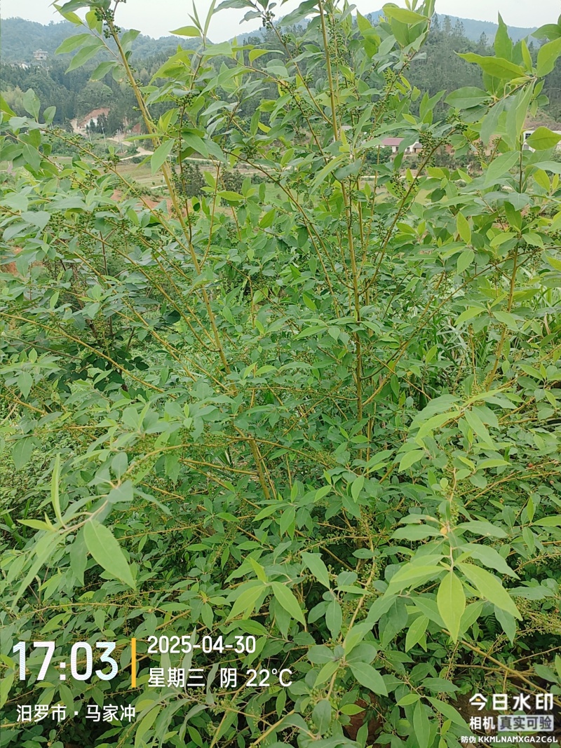众田卓地
