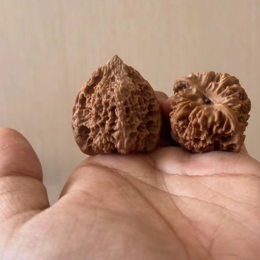 文玩核桃（精品对）