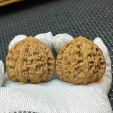 文玩核桃