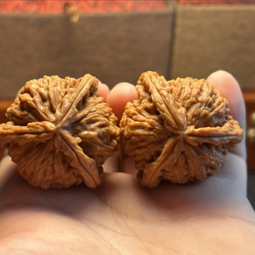 文玩核桃