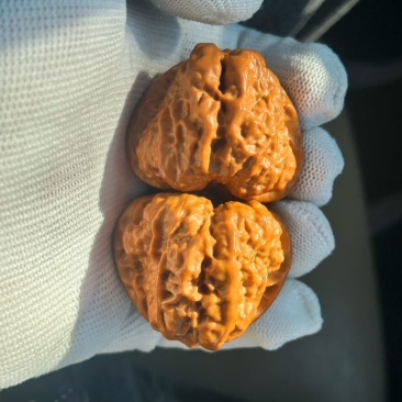 文玩核桃