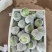 嫩南瓜