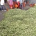 碗