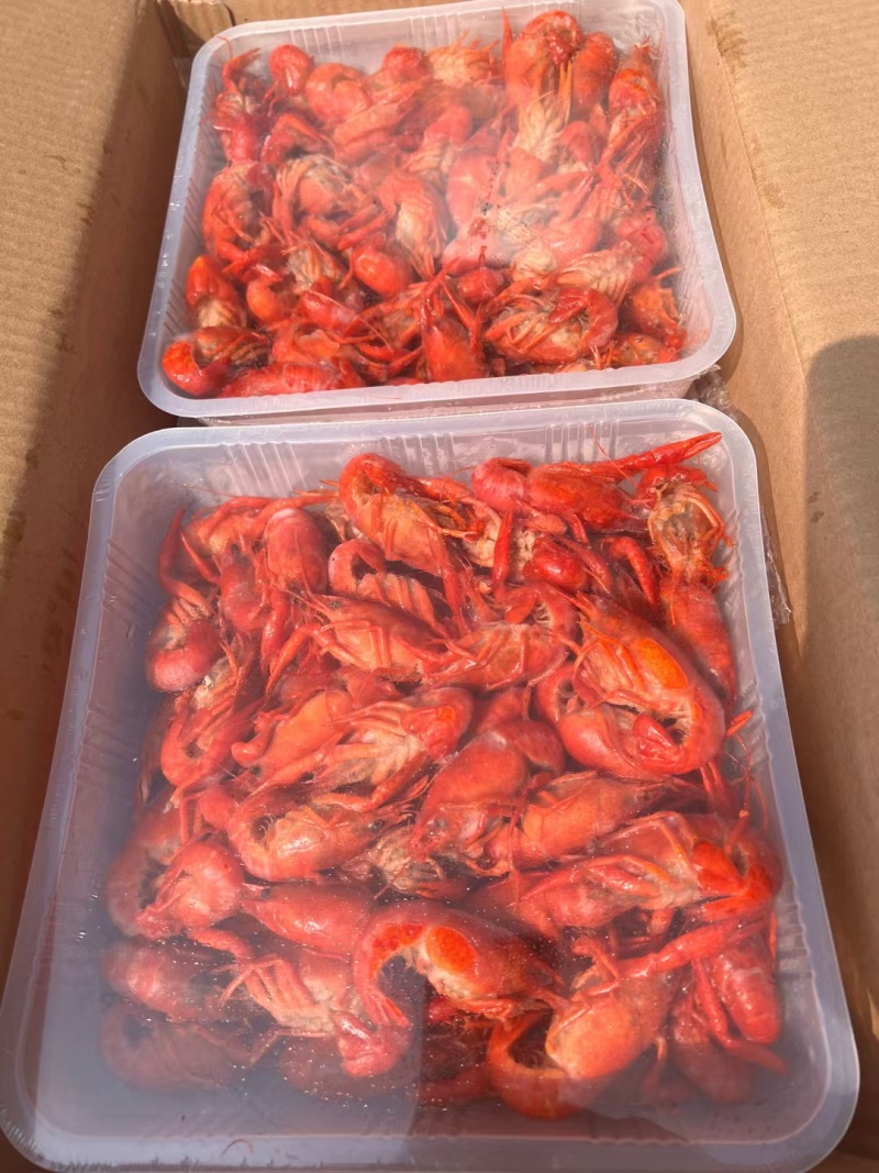 活虾加工，液氮油炸小龙虾，工厂直发