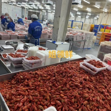 活虾加工，液氮油炸小龙虾，工厂直发