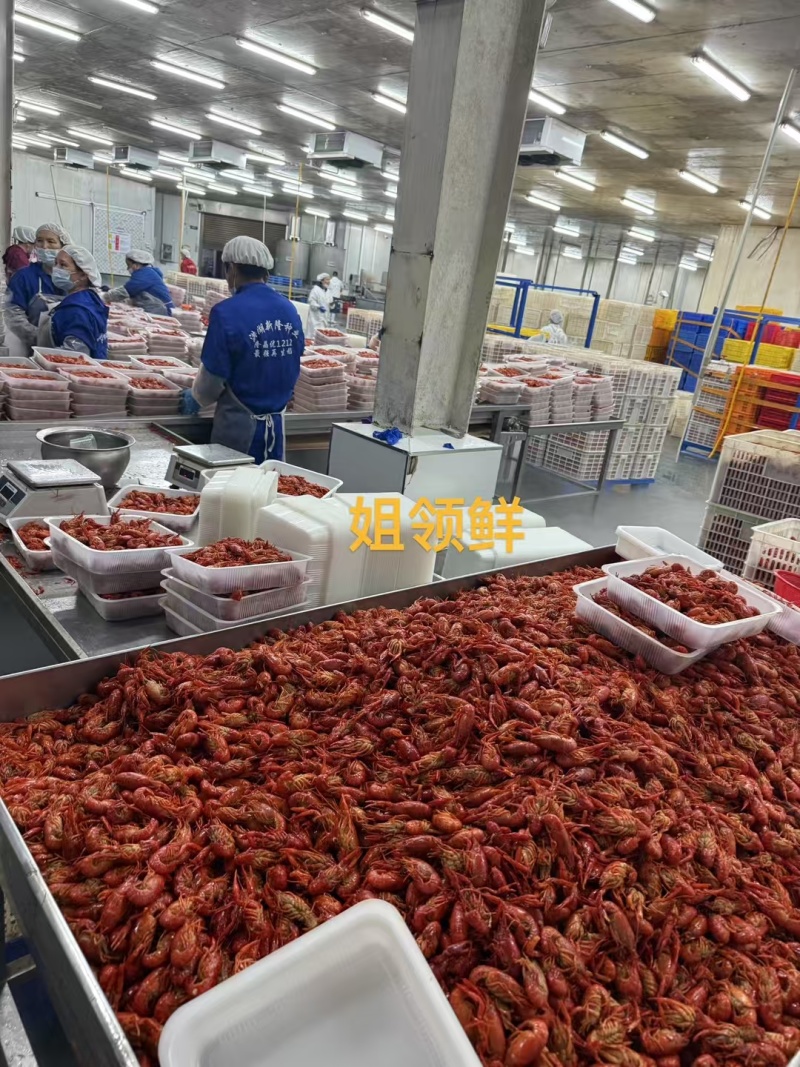 活虾加工，液氮油炸小龙虾，工厂直发