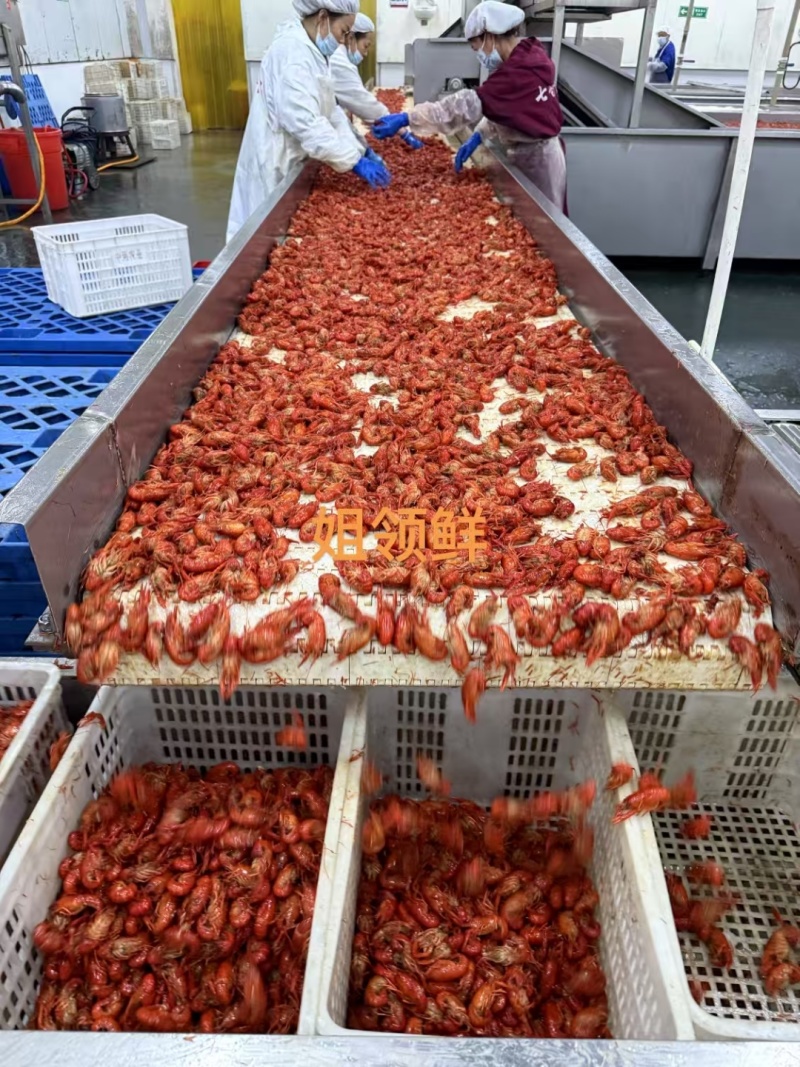 活虾加工，液氮油炸小龙虾，工厂直发