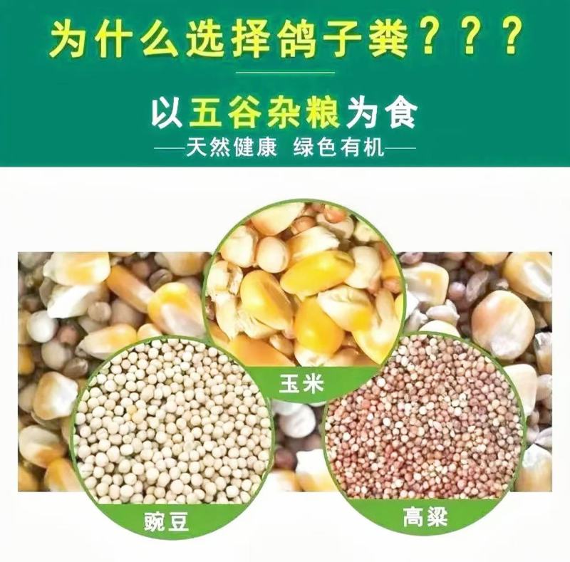 无臭鸽子粪，原生态有机肥，厂家直销，量大价优50斤一袋