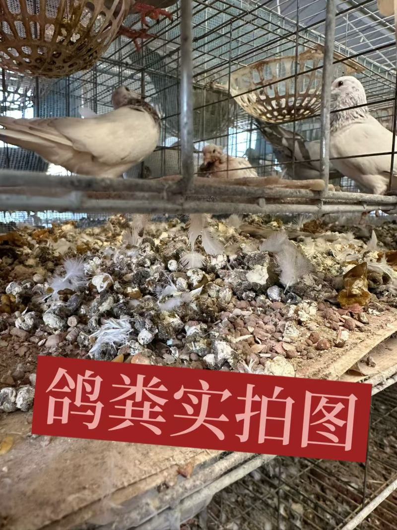 无臭鸽子粪，原生态有机肥，厂家直销，量大价优50斤一袋