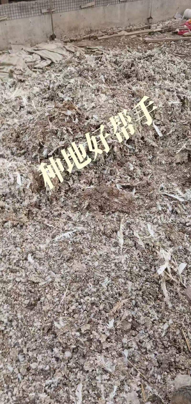 无臭鸽子粪，原生态有机肥，厂家直销，量大价优50斤一袋