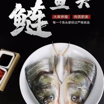 鱼头