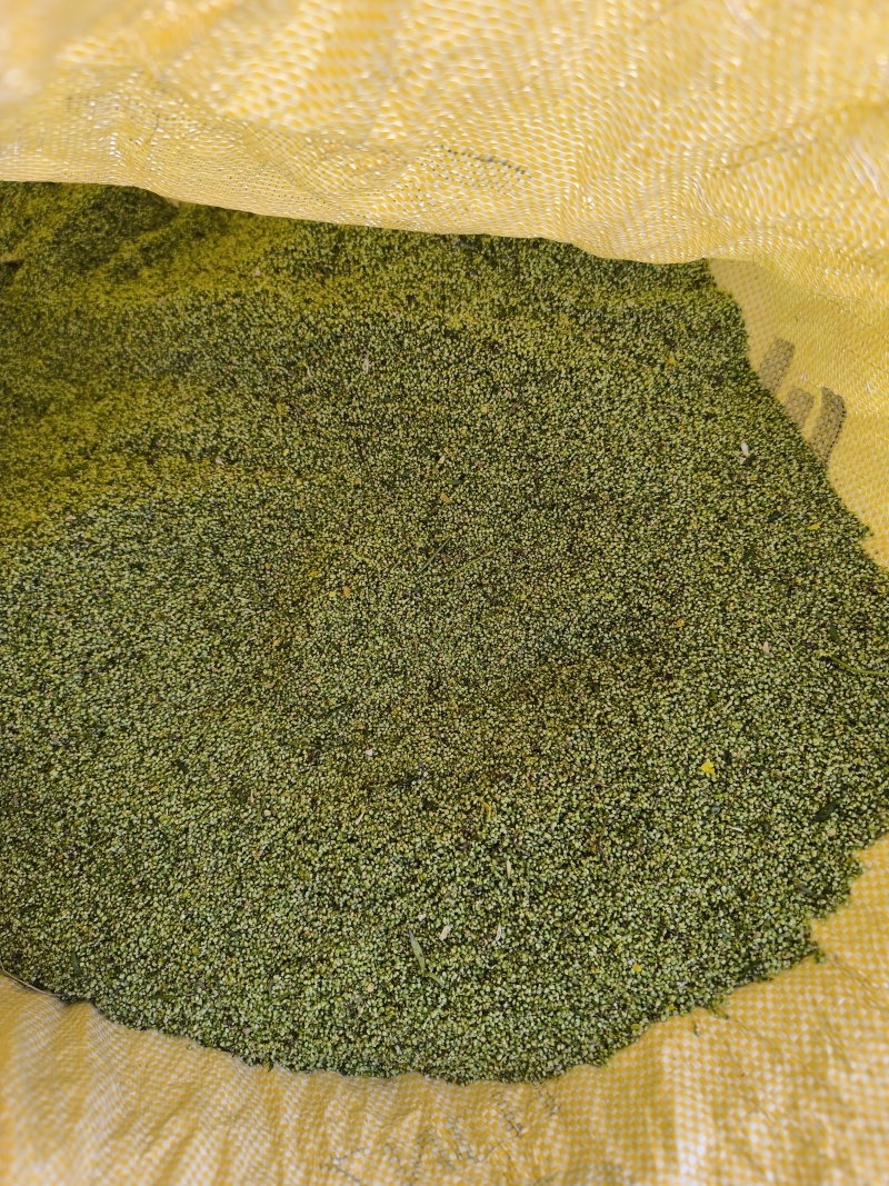 猫爪草种子