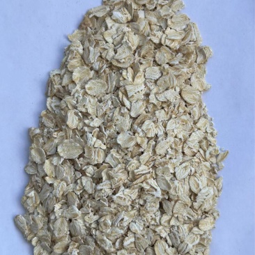 燕麦片俄罗斯