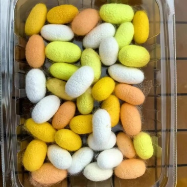 蚕茧