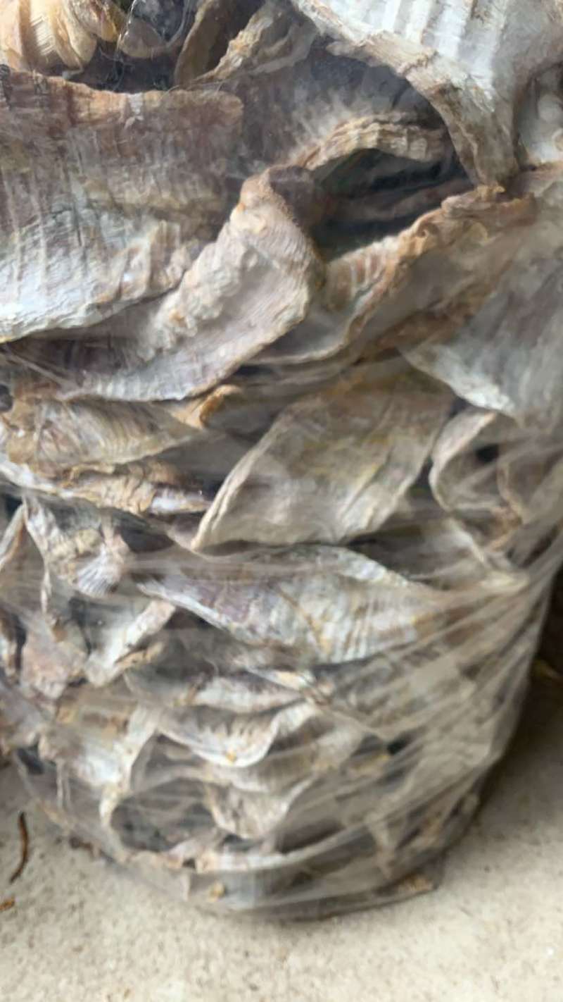 福建笋干