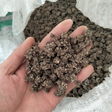 统货或者选货