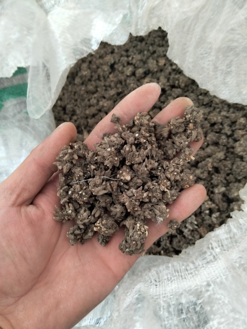 统货或者选货