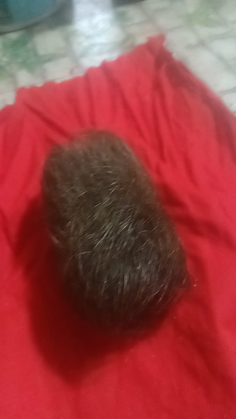 本人有一个猪宝要卖