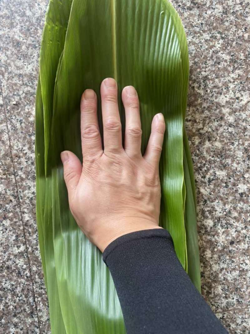 粽叶6公分以上粽叶8公分以上