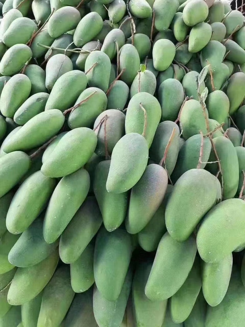 芒果一件代发