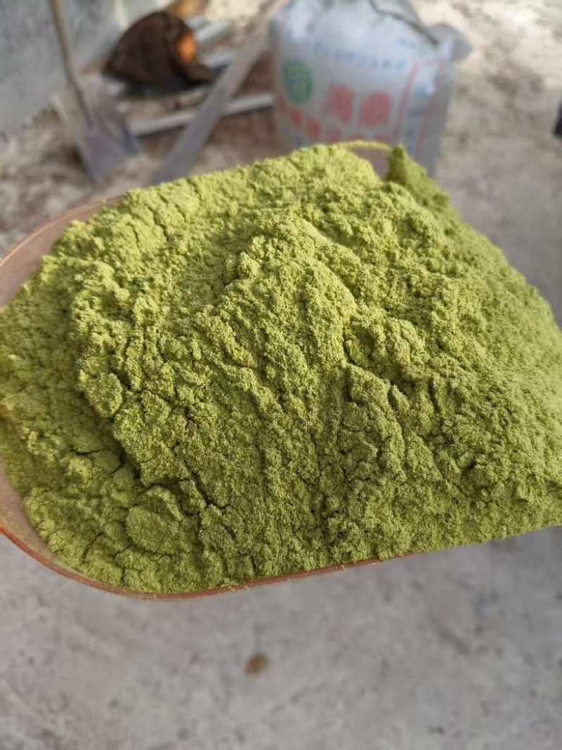 侧柏叶3.5元每斤，50斤起，不包邮，但邮政邮费低，批发联