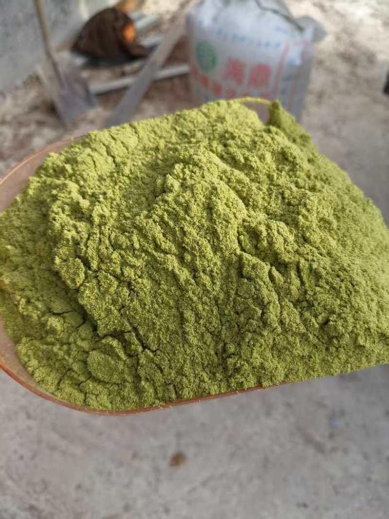 侧柏叶3.5元每斤，50斤起，不包邮，但邮政邮费低，批发联