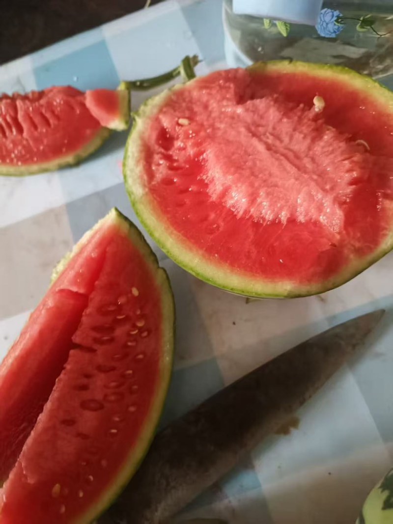 甜王西瓜，小吊瓜