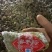 粽子70.100克，各种口味规格，