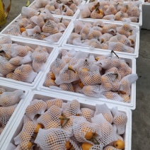 精品五星枇粑