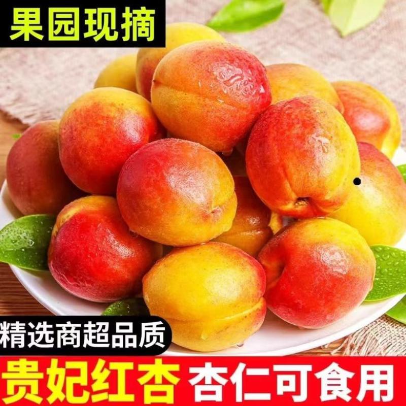 陕西大红杏，源头产地，日照时间足，口感香甜