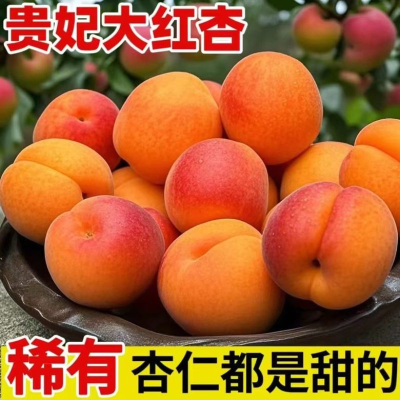 陕西大红杏，源头产地，日照时间足，口感香甜