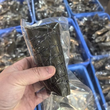 嘉兴味道大肉粽260克