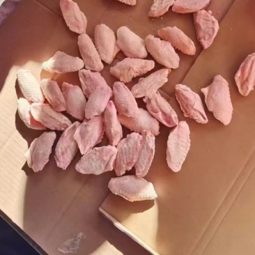 鸡中翅30-40规格齐全鲜货保证可以订做！