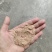 广东糠，统糠，筛糠，0.6--2.5各种规格，饲料加工