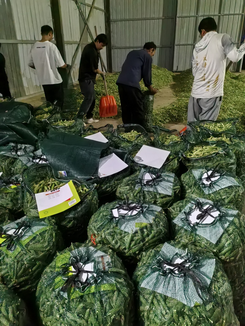 碗豆荚