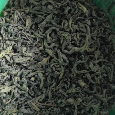 揭阳高山春茶绿茶