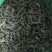 揭阳高山春茶绿茶