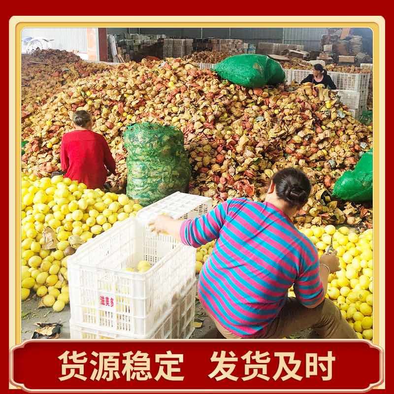 正宗安岳柠檬整车批发，代办，电商一件代发
