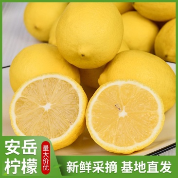 正宗安岳柠檬整车批发，代办，电商一件代发