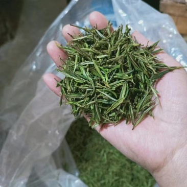黄山云雾茶