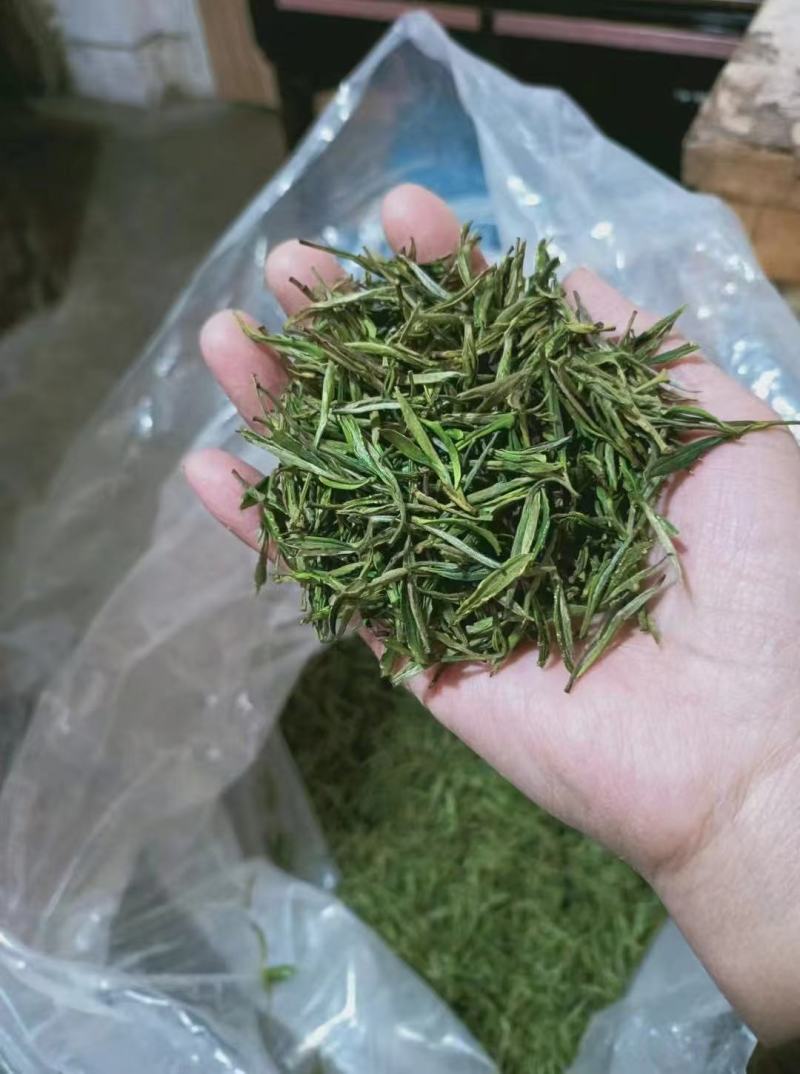 黄山云雾茶