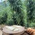 云南应季新鲜甜笋，新鲜采摘发货，全国发货。