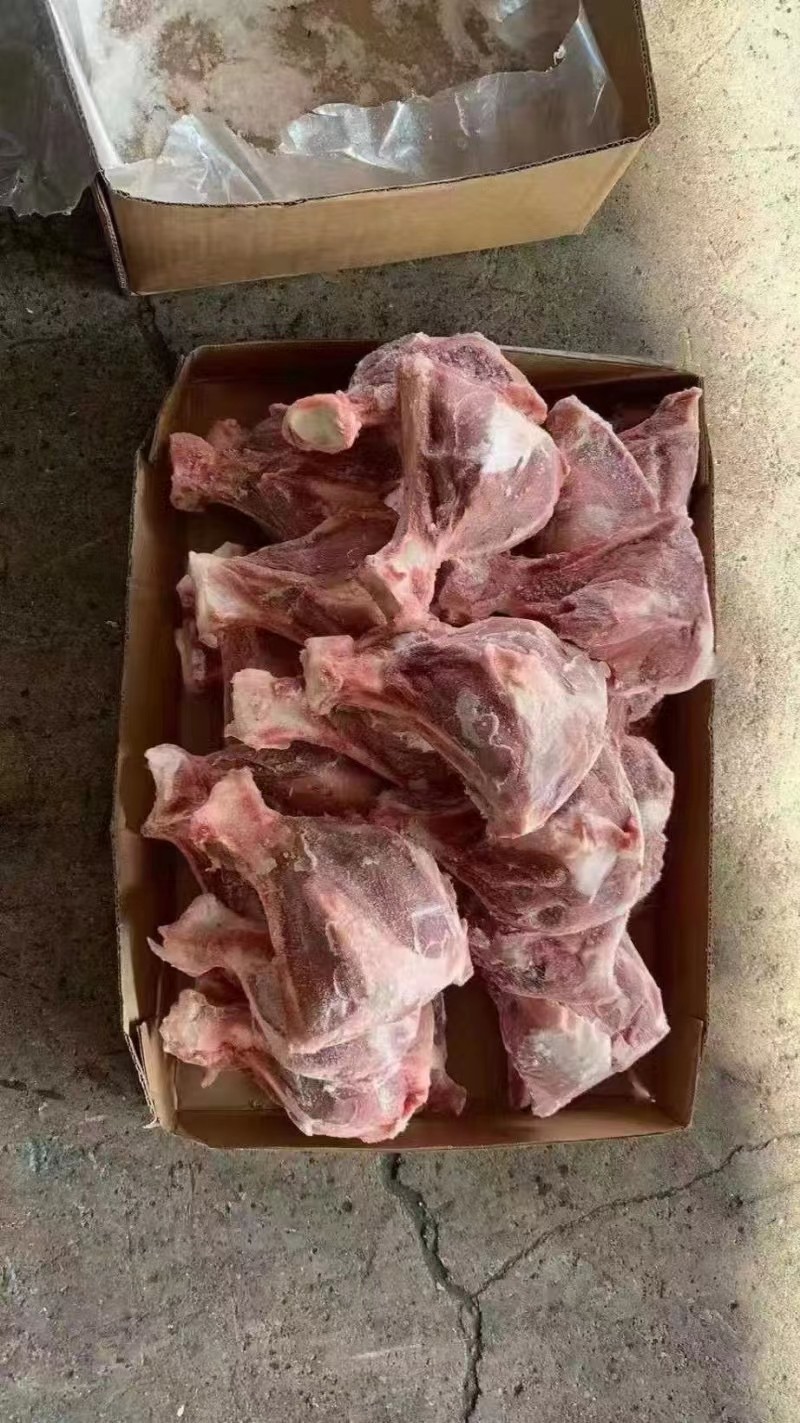多肉扇子骨带肉多颜色新鲜厂家直销大量现货