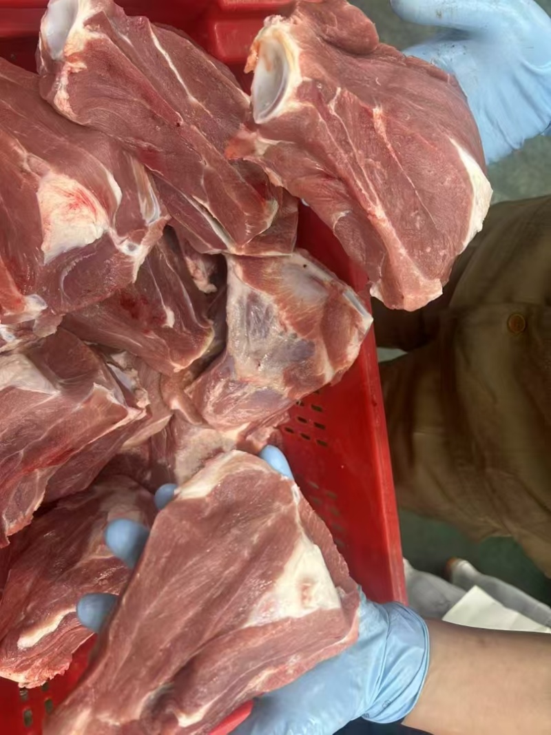 多肉扇子骨带肉多颜色新鲜厂家直销大量现货
